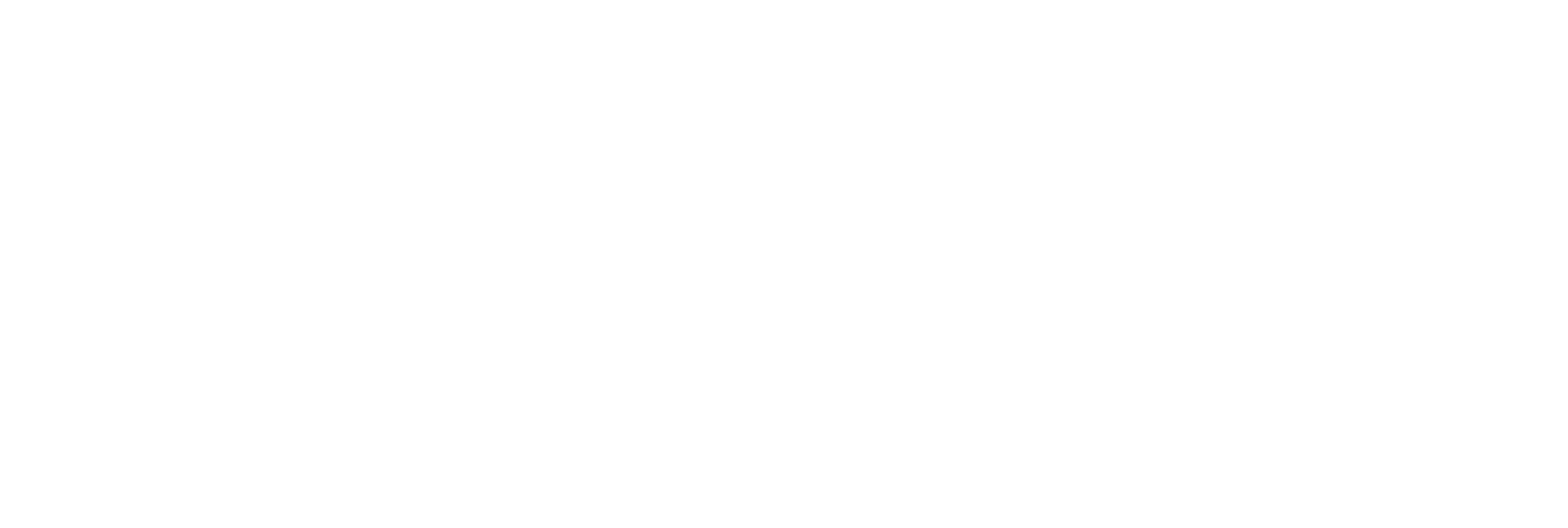 Richard Holtz Inc