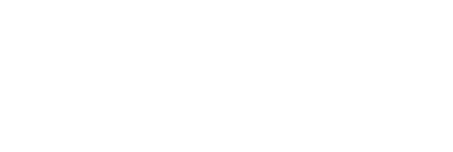 SeeLess Solutions